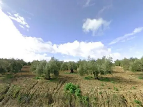 Finca rústica en calle Polígono, nº 6